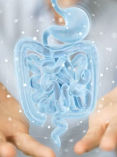 10 REASONS TO TAKE PROBIOTICS